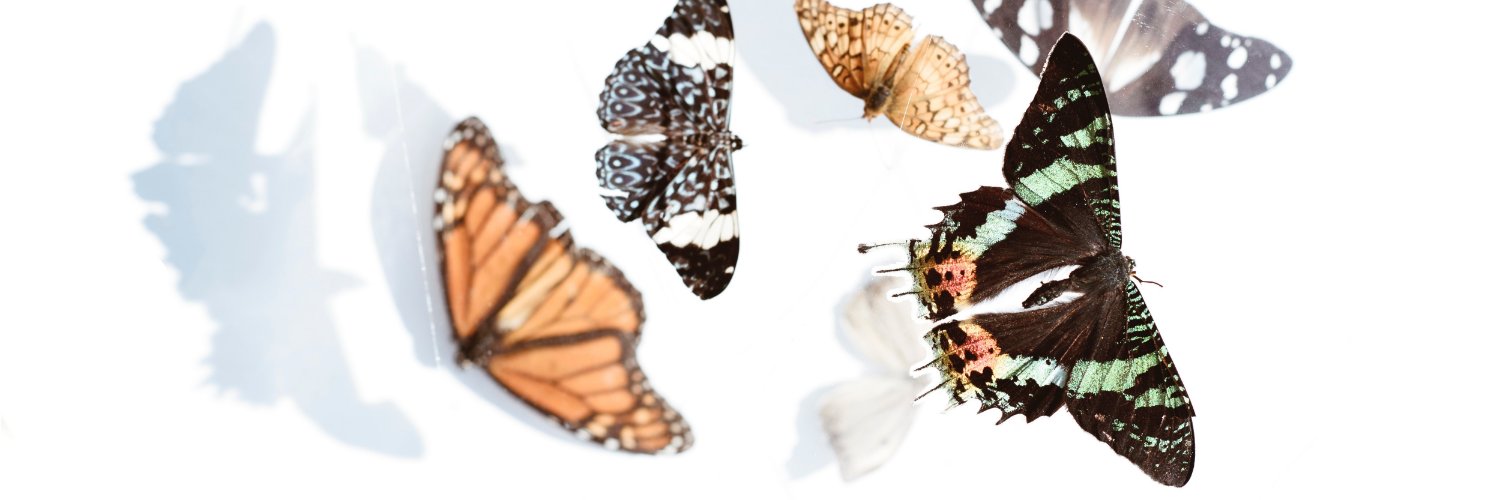 eleni_rab's profile banner image