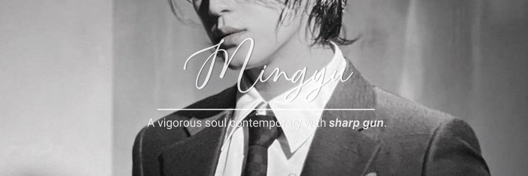Reyga banner