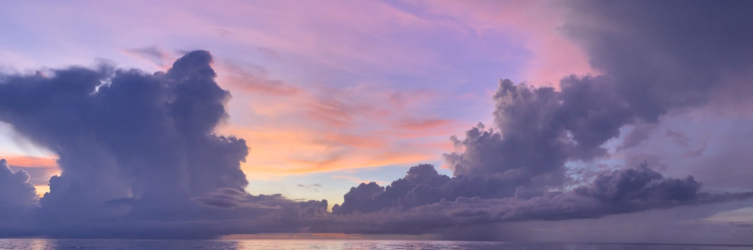 Mary Urbina-McCarthy banner