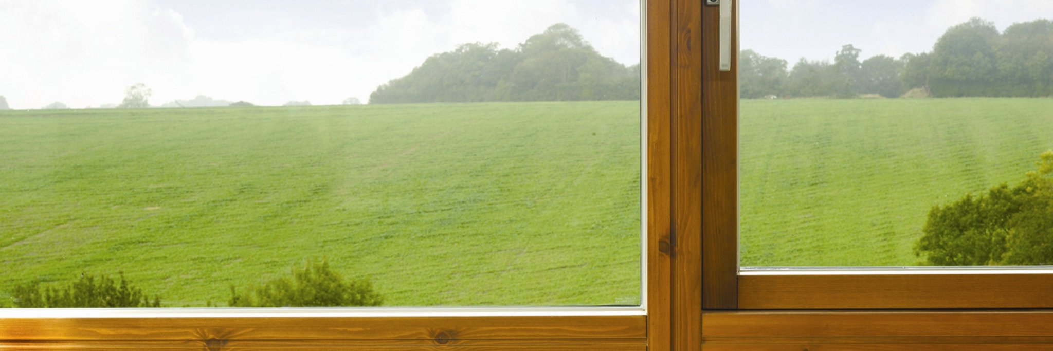 woodwindowall's profile banner image