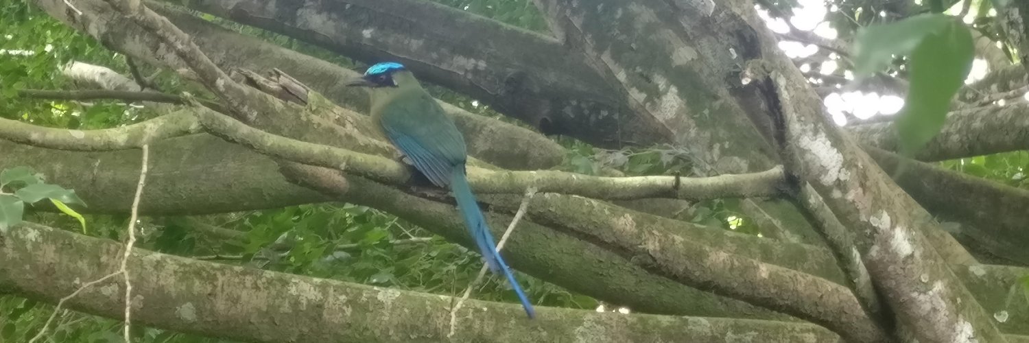 Steven D. Prager banner