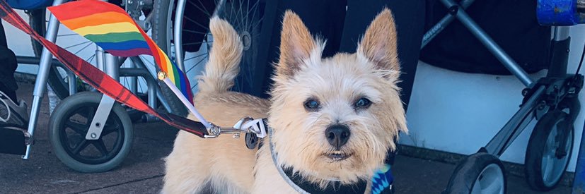 MissJamieAnn's profile banner image