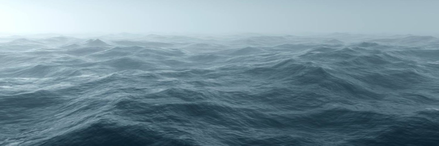 Mira Howards banner