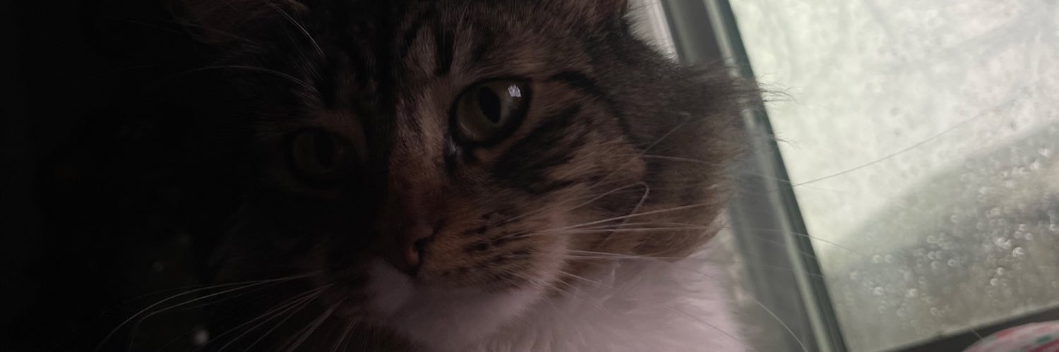 elysia444's profile banner image