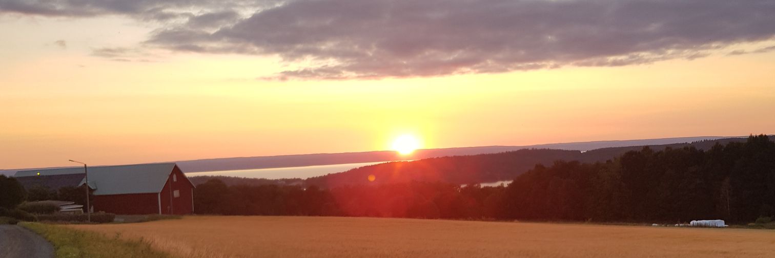 BorgDavid's profile banner image