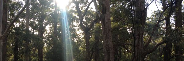 EcoHealth13 Profile Banner