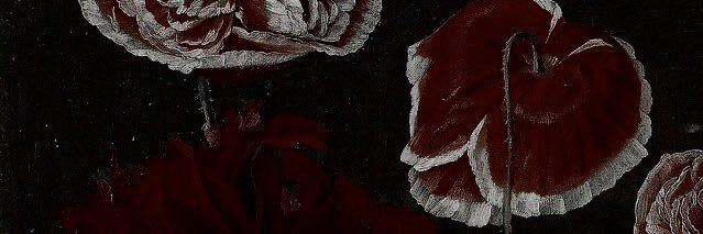 posiepark's profile banner image