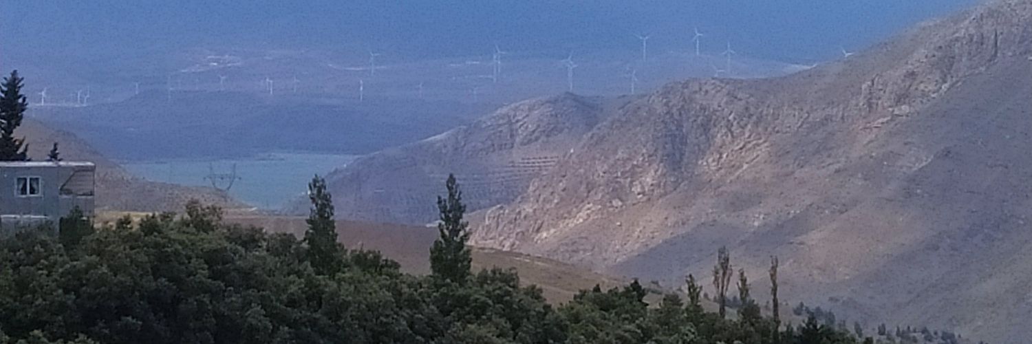 اقامتگاه تک درخت banner