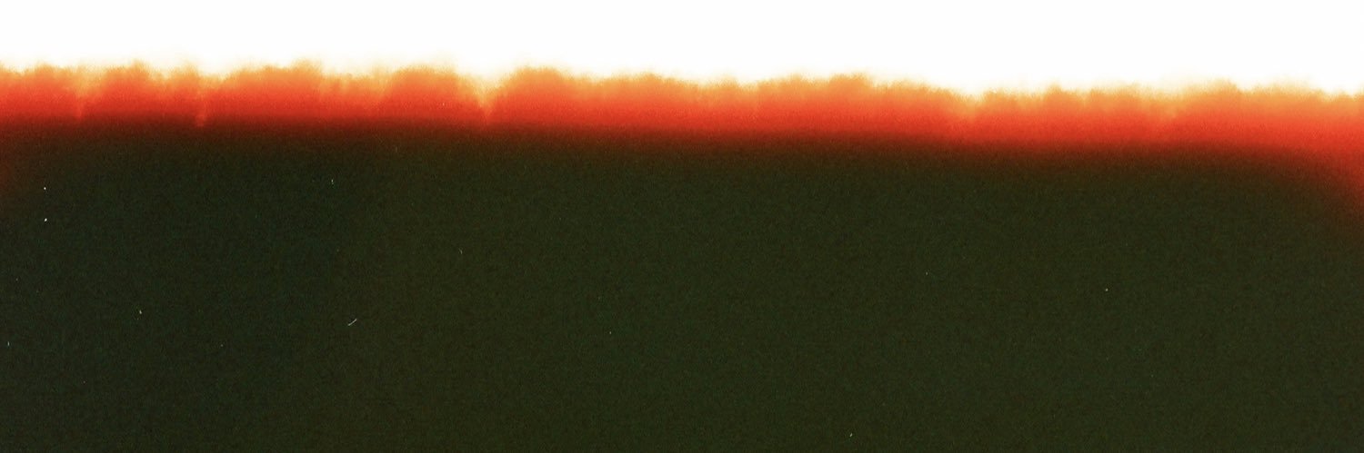 Suzannah Pettigrew banner