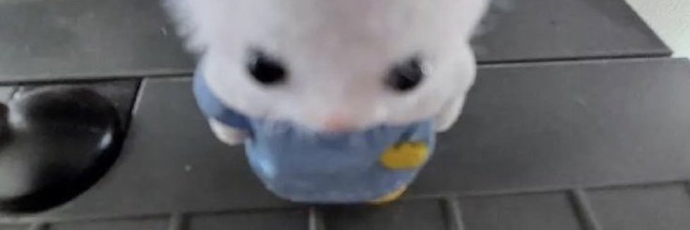 mirarchieve_'s profile banner image