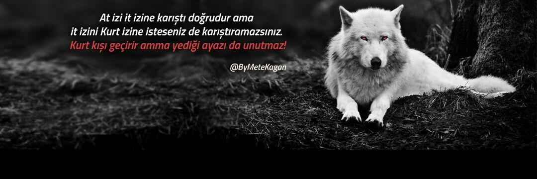 Mr_Canaydin's profile banner image