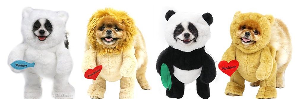 pandaloonstore's profile banner image