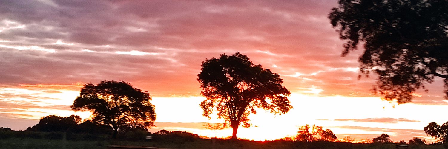 𝘿𝙚𝙨𝙥𝙚𝙞𝙣𝙖𝙙𝙖🌷🐝 banner