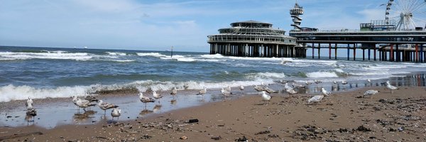 LoesDee Profile Banner