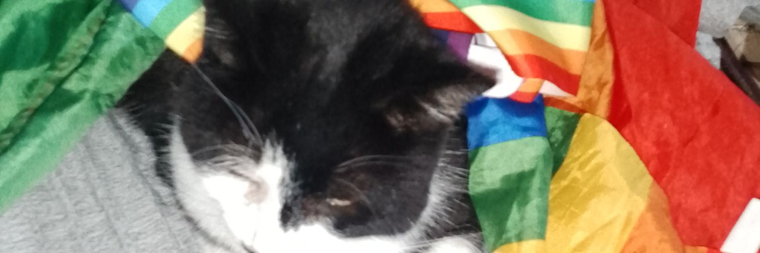 galvinemma's profile banner image