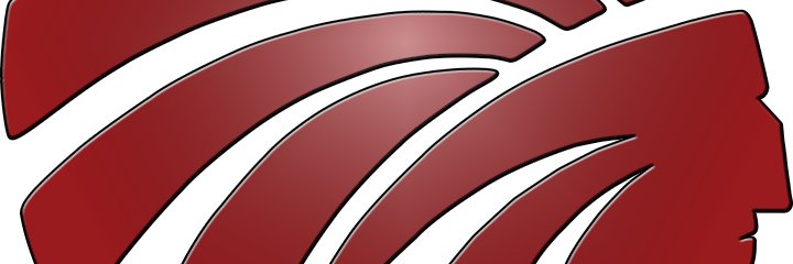 Michael Pitts banner