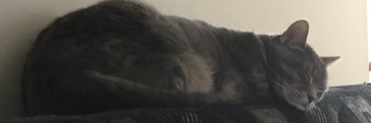 JessicaNGill's profile banner image