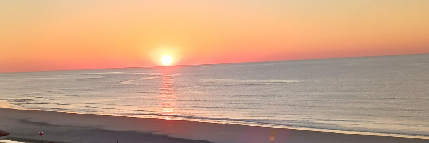 Nick chapman banner