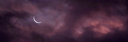 Cerengezer01's profile banner image