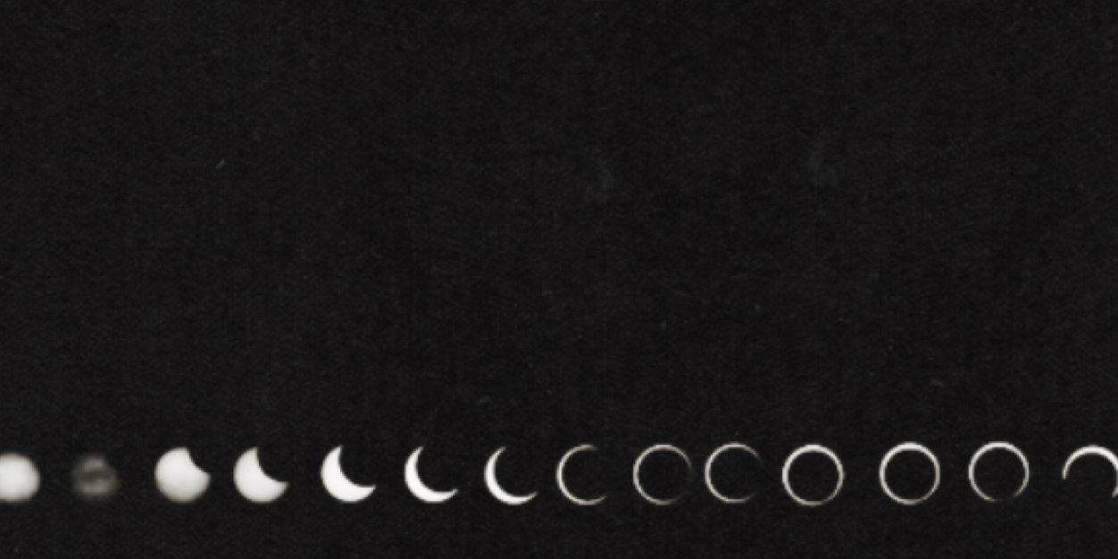 lilydangdr's profile banner image