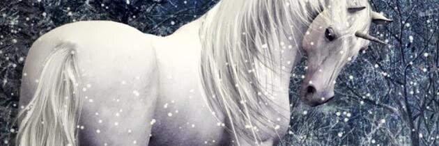 Lunnaris1981's profile banner image