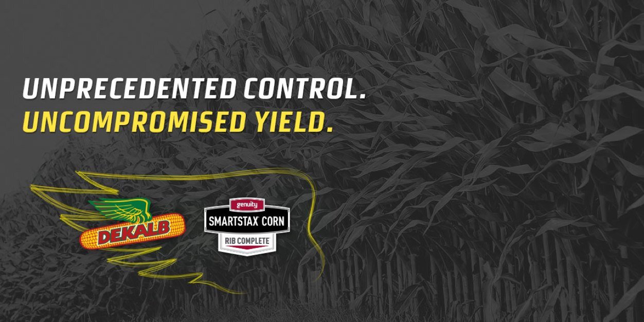 SeedCommanderRT's profile banner image