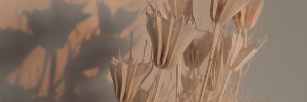 CaitDid_'s profile banner image