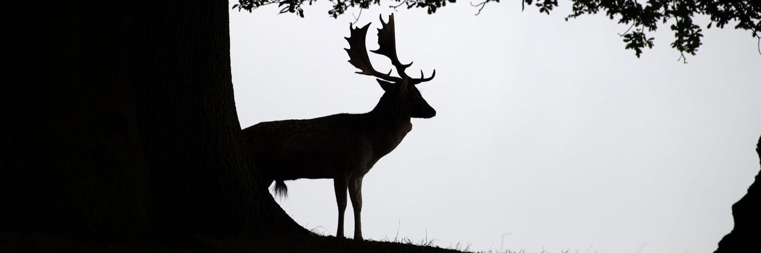 OnlyTheBiff's profile banner image