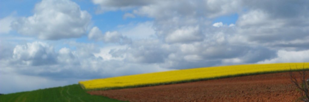 robyn_toone's profile banner image