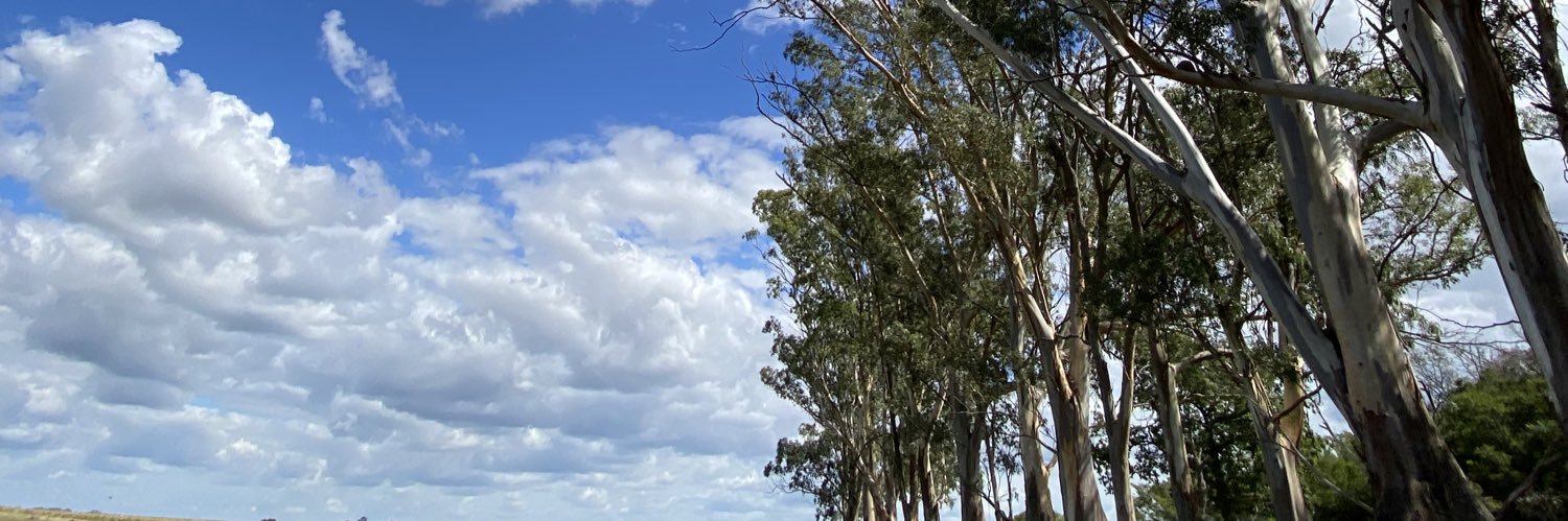 inesaldao's profile banner image
