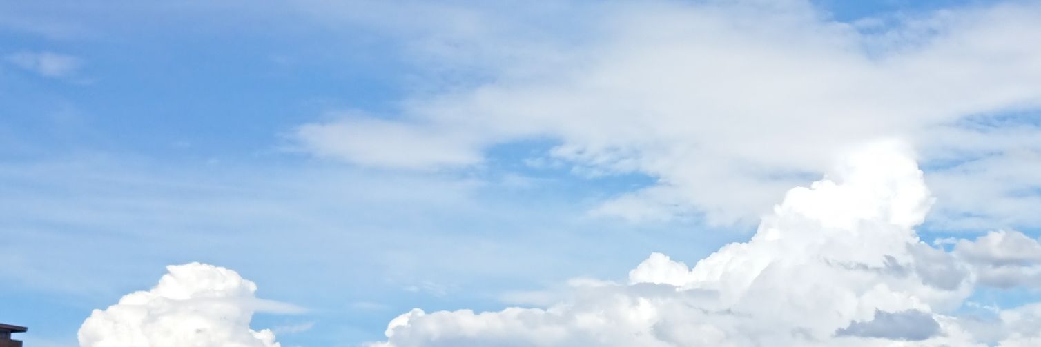 dogezaer's profile banner image