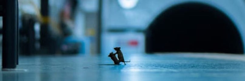 _Errn's profile banner image