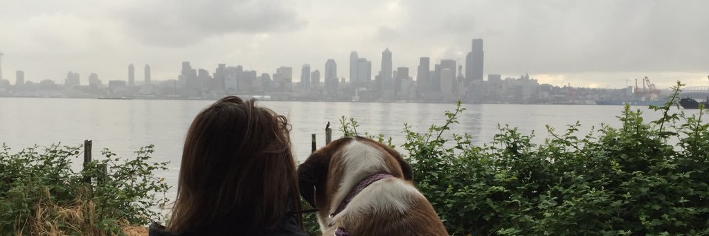 pfoley88's profile banner image
