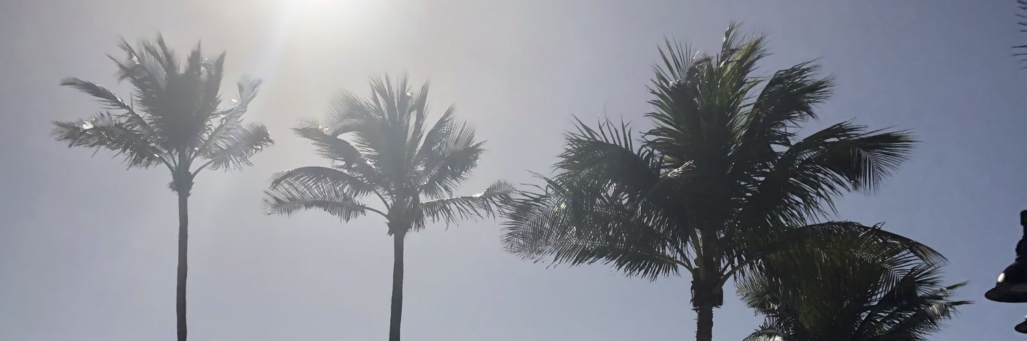 JuneKnight's profile banner image