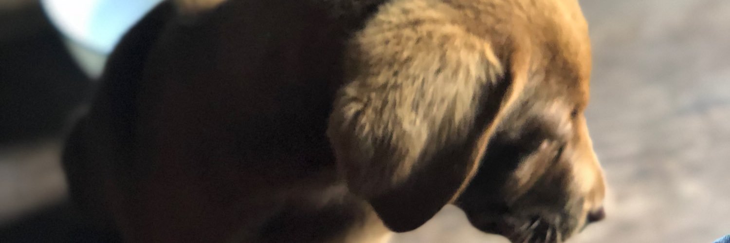 HURLEYC20's profile banner image