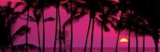 bobble1956's profile banner image