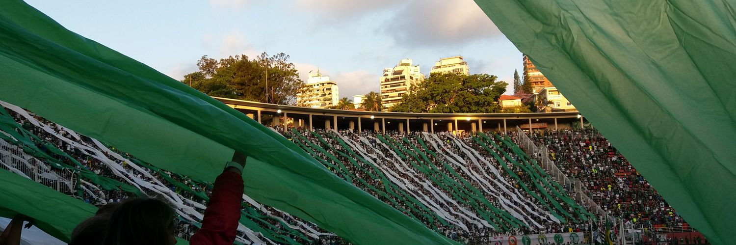 palmeiras fiufiu banner