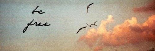 Freedom 4 Me banner