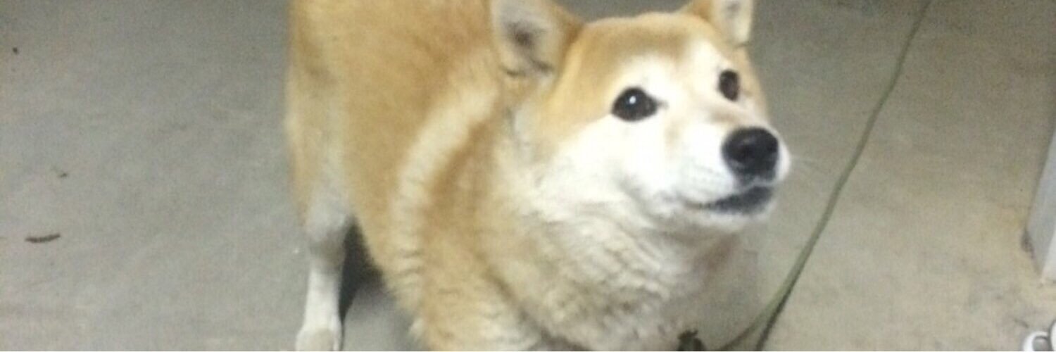 かうる banner