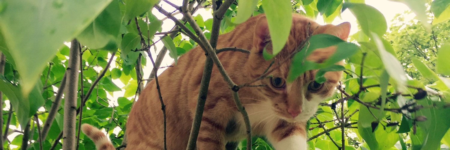 Catherine Turner banner