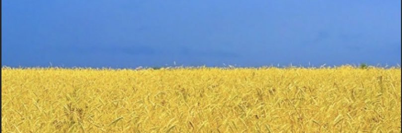 Eeeefffaa's profile banner image