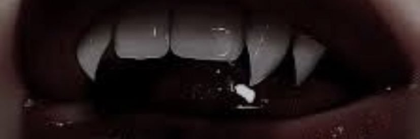 VampBoi24's profile banner image
