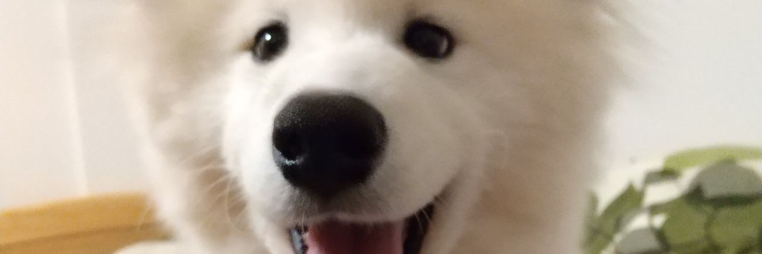 fetch_hawaii's profile banner image