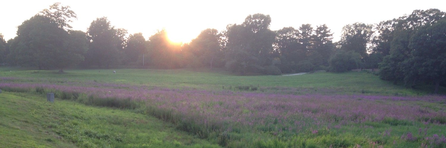 LouHurdThat's profile banner image