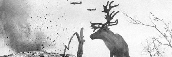 BenMalanguna's profile banner image