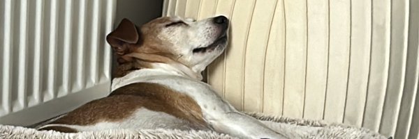 ja_whatever Profile Banner