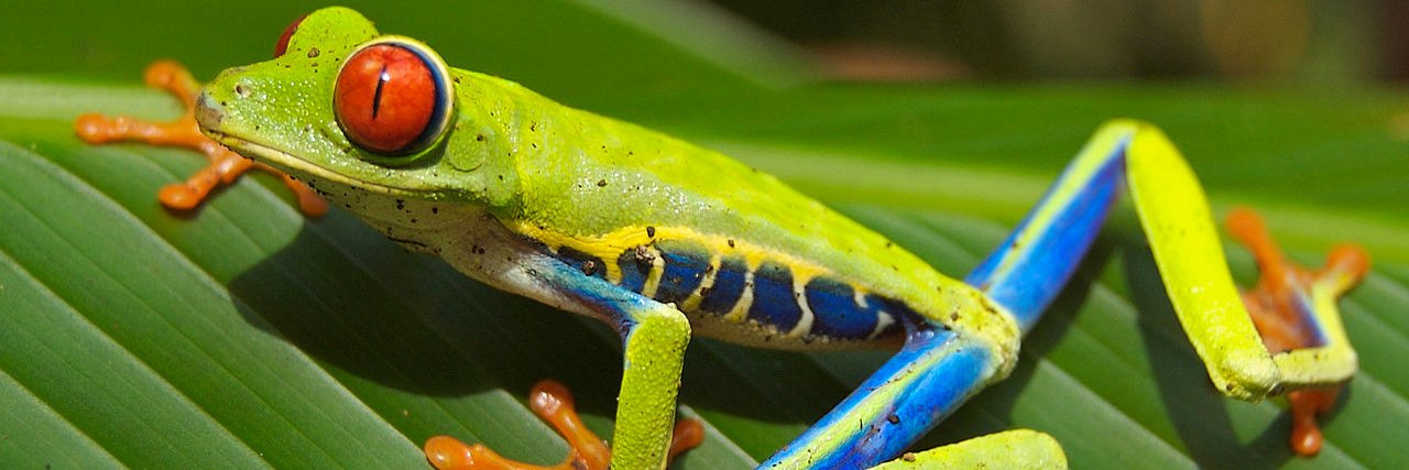 Conservation Finance banner