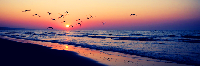Andryfreak's profile banner image