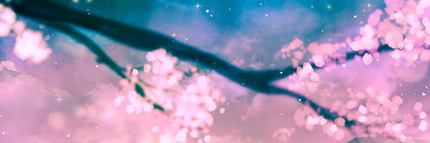 cateybee_'s profile banner image