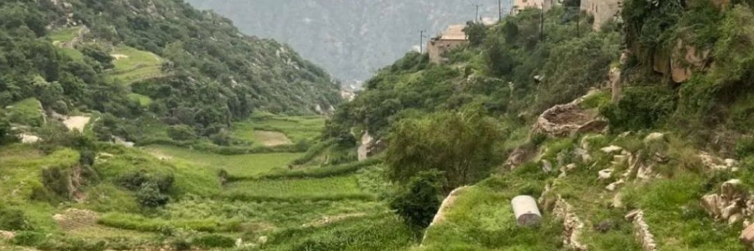 Ibn_Wadan's profile banner image